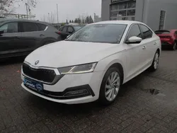 Weiß Gebraucht 2023 Skoda Octavia Style Limousine | 21.900 € (Guter Preis)