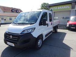 Weiß Gebraucht 2020 Fiat Ducato Van | 19.500 € (Etwas zu teuer)