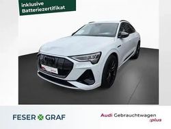 Gletscherweiß metallic Gebraucht 2023 Audi e-tron Ambiente SUV | 37.980 € (Etwas zu teuer)