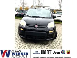 Colore esterno (cinema schwarz Neu 2024 Fiat Panda Kleinwagen | 12.990 € (Guter Preis)