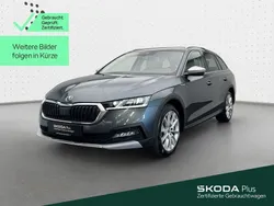 Grau Gebraucht 2021 Skoda Octavia Scout Kombi | 30.999 € (Fairer Preis)