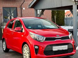 Rot Gebraucht 2018 Kia Picanto DREAM-TEAM Edition Kleinwagen | 6.998 € (Fairer Preis)