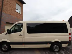 Beige Gebraucht 2011 Mercedes Sprinter Van | 11.950 € (Teuer)