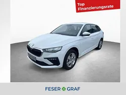 Candy weiss Neu 2025 Skoda Scala Selection Kleinwagen | 21.960 € (Fairer Preis)