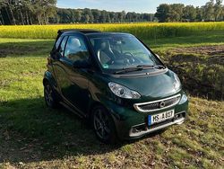 Grün Gebraucht 2014 Smart ForTwo Cabrio Brabus Cabrio | 11.200 € (Teuer)