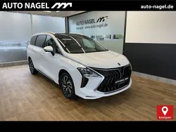 Weiß Neu 2024 DFSK Forthing 4 Van / Kleinbus | 29.869 € (Fairer Preis)