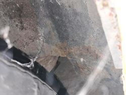 Gebraucht 1978 Trabant 601 Kombi | 750 €