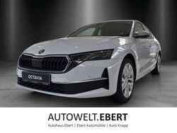 Moonweiß perleffekt Gebraucht 2025 Skoda Octavia Selection Limousine | 33.990 € (Etwas zu teuer)