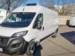 Weiß Gebraucht 2023 Fiat Ducato Van | 45.000 €