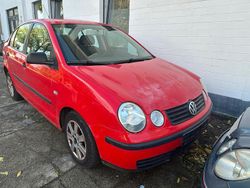 Rot Gebraucht 2004 VW Polo Limousine | 450 € (Superpreis)