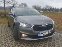Grau Gebraucht 2025 Skoda Fabia Selection Limousine | 19.900 € (Fairer Preis)