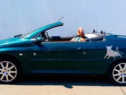 Grün Gebraucht 2005 Peugeot 206 CC Roland Garros Cabrio | 1.000 € (Guter Preis)