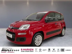 Rot Gebraucht 2015 Fiat Panda Pop Kleinwagen | 5.990 € (Guter Preis)