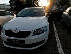 Weiß Gebraucht 2015 Skoda Octavia Cabrio | 6.200 €