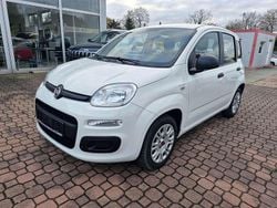 Colore esterno (gelato weiss) Gebraucht 2019 Fiat Panda Easy Kleinwagen | 8.990 € (Fairer Preis)