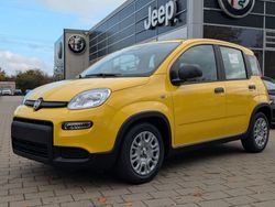 Gelb Neu 2025 Fiat Panda Kleinwagen | 16.900 € (Etwas zu teuer)