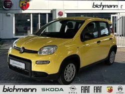 Gelb (gelb) Neu 2024 Fiat Panda Kleinwagen | 14.990 €