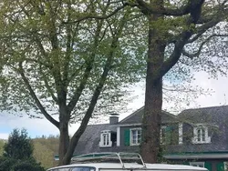 Weiß Gebraucht 1989 VW T3 Van | 4.999 €