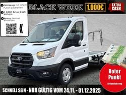 Frozen white Neu 2025 Ford Transit Trend Limousine | 38.437 € (Guter Preis)
