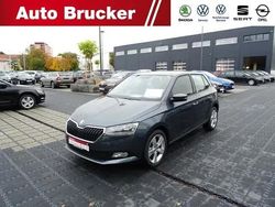Grau Gebraucht 2020 Skoda Fabia Cool Plus Kleinwagen | 14.670 € (Etwas zu teuer)