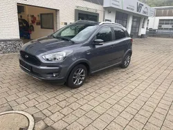 Grau Gebraucht 2019 Ford Ka Plus Active Kleinwagen | 8.300 € (Fairer Preis)