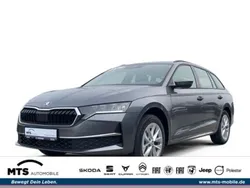 Grau Neu 2024 Skoda Octavia Selection Kombi | 29.950 € (Superpreis)