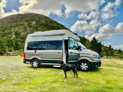 Beige Gebraucht 2021 VW California California Van | 60.899 € (Teuer)