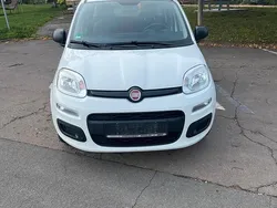 Weiß Gebraucht 2016 Fiat Panda Kleinwagen | 6.999 € (Fairer Preis)