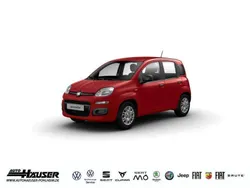 Weiss Neu 2025 Fiat Panda Kleinwagen | 17.885 €