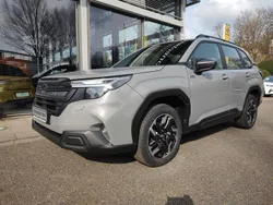 River rock pearl Neu 2025 Subaru Forester Trend SUV | 39.350 € (Superpreis)