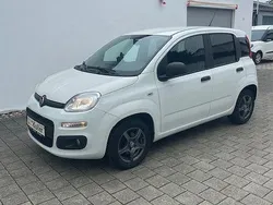 Weiß 296 Gebraucht 2018 Fiat Panda Lounge Kleinwagen | 9.900 € (Fairer Preis)
