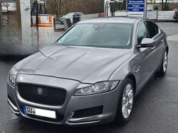 Grau Gebraucht 2019 Jaguar XF Prestige Limousine | 18.500 € (Guter Preis)