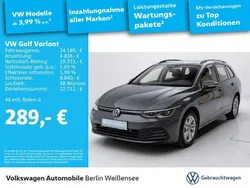 Othercolor Gebraucht 2023 VW Golf VIII Life Kombi | 26.845 € (Fairer Preis)