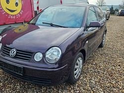 Violet Gebraucht 2003 VW Polo Basis Limousine | 890 € (Guter Preis)