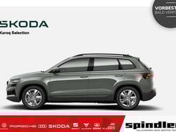 Grau Neu 2025 Skoda Karoq Tour SUV | 42.441 €