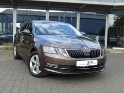 Maple braun metallic Gebraucht 2019 Skoda Octavia Limousine | 18.490 € (Fairer Preis)