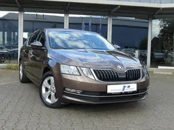 Maple braun metallic Gebraucht 2019 Skoda Octavia Limousine | 18.490 € (Fairer Preis)
