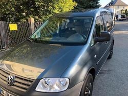 Grau Gebraucht 2010 VW Caddy Life Van / Kleinbus | 2.400 € (Superpreis)