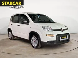 Colore esterno (weiss) Neu 2024 Fiat Panda Kleinwagen | 12.770 €