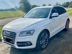 Weiß Gebraucht 2016 Audi SQ5 Competition SUV | 25.888 € (Fairer Preis)
