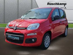 Bartolini rot) (rot Gebraucht 2017 Fiat Panda Easy Kleinwagen | 6.980 € (Guter Preis)