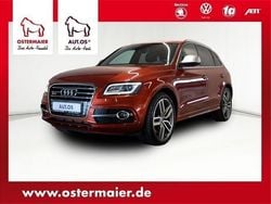 Rot metallic Gebraucht 2014 Audi SQ5 Design SUV | 48.830 €