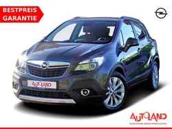 Grau Gebraucht 2015 Opel Mokka Color Edition SUV | 13.490 € (Teuer)
