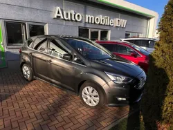 Grau Gebraucht 2018 Ford C-MAX Titanium Van / Kleinbus | 11.990 € (Etwas zu teuer)