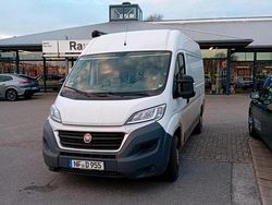 Weiß Gebraucht 2017 Fiat Ducato Van | 9.500 € (Guter Preis)