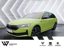 Grün Gebraucht 2025 Skoda Octavia SportLine Kombi | 36.990 € (Etwas zu teuer)