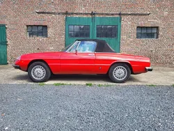 Rot Gebraucht 1980 Alfa Romeo Spider Veloce Cabrio | 16.500 €