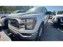 Neu 2025 Ford F-150 XLT Abholung | 62.000 €