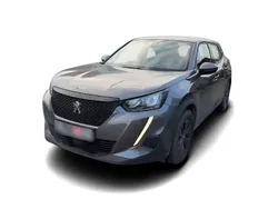 Grau Gebraucht 2020 Peugeot 2008 Active SUV | 19.649 € (Teuer)