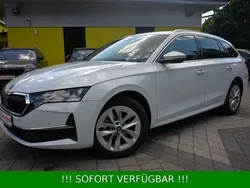 Graphite grau Neu 2025 Skoda Octavia Selection Kombi | 32.280 € (Guter Preis)